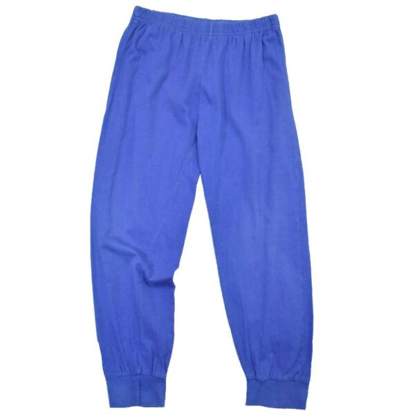 Sinised pidzaama püksid
